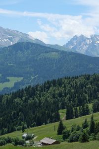 Preview wallpaper mountains, forest, trees, houses, landscape