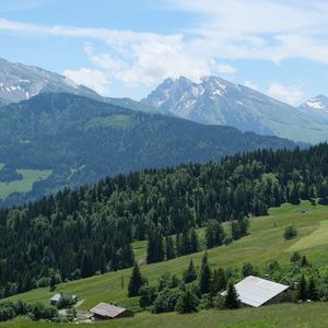 Preview wallpaper mountains, forest, trees, houses, landscape