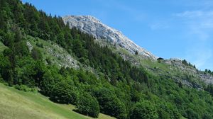 Preview wallpaper mountains, forest, trees, slope, nature, landscape