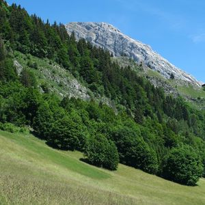 Preview wallpaper mountains, forest, trees, slope, nature, landscape