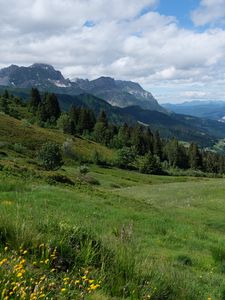 Preview wallpaper mountains, forest, trees, field, landscape