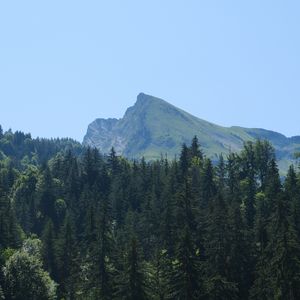 Preview wallpaper mountains, forest, trees, landscape, aerial view
