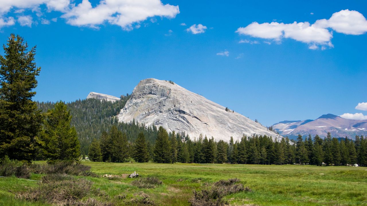 Wallpaper mountains, forest, trees, lake, landscape