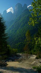 Preview wallpaper mountains, forest, trees, path, turn, landscape, nature