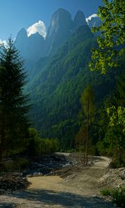 Preview wallpaper mountains, forest, trees, path, turn, landscape, nature