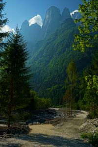 Preview wallpaper mountains, forest, trees, path, turn, landscape, nature