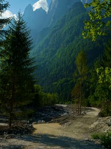 Preview wallpaper mountains, forest, trees, path, turn, landscape, nature