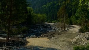 Preview wallpaper mountains, forest, trees, path, turn, landscape, nature