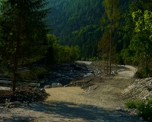 Preview wallpaper mountains, forest, trees, path, turn, landscape, nature