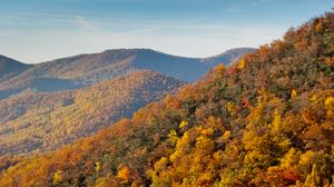 Preview wallpaper mountains, forest, trees, autumn, landscape, yellow