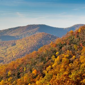 Preview wallpaper mountains, forest, trees, autumn, landscape, yellow