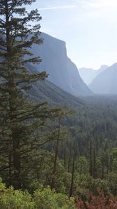Preview wallpaper mountains, forest, trees, aerial view, nature