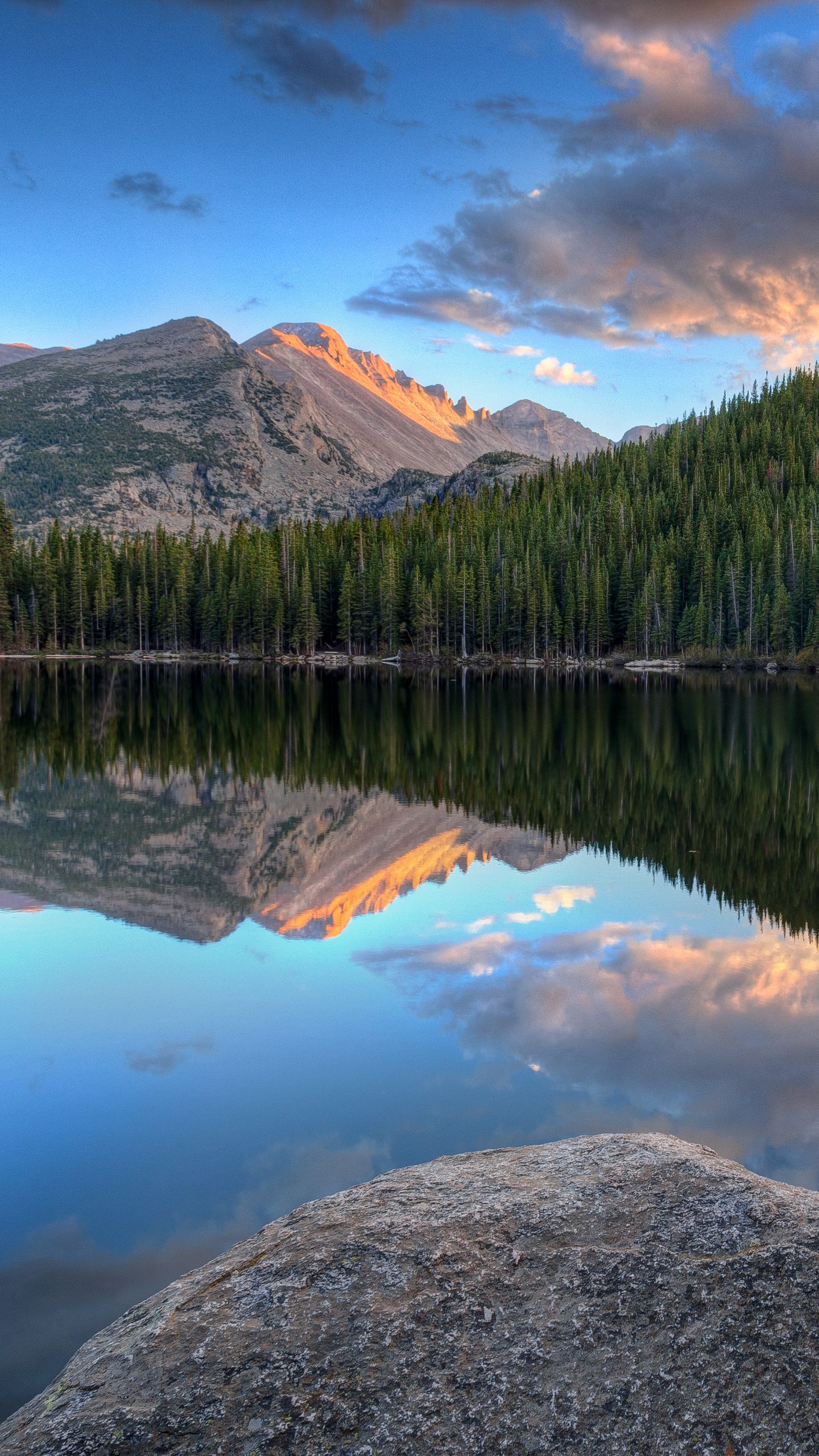 Download Wallpaper 1440x2560 Mountains Forest Trees Lake Reflection