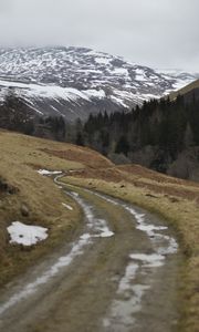 Preview wallpaper mountains, forest, trees, path, snow, nature, landscape