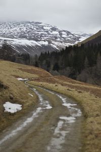 Preview wallpaper mountains, forest, trees, path, snow, nature, landscape