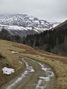 Preview wallpaper mountains, forest, trees, path, snow, nature, landscape