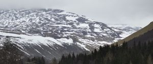 Preview wallpaper mountains, forest, trees, path, snow, nature, landscape