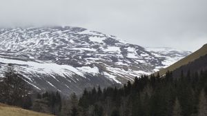 Preview wallpaper mountains, forest, trees, path, snow, nature, landscape