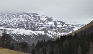 Preview wallpaper mountains, forest, trees, path, snow, nature, landscape