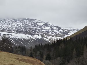 Preview wallpaper mountains, forest, trees, path, snow, nature, landscape