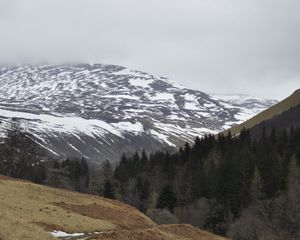 Preview wallpaper mountains, forest, trees, path, snow, nature, landscape