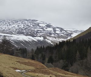 Preview wallpaper mountains, forest, trees, path, snow, nature, landscape