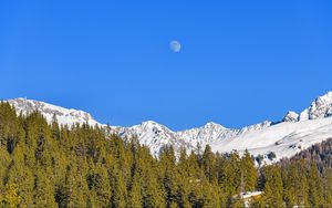 Preview wallpaper mountains, forest, trees, snow, nature, landscape