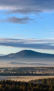 Preview wallpaper mountains, forest, trees, fields, landscape