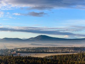 Preview wallpaper mountains, forest, trees, fields, landscape