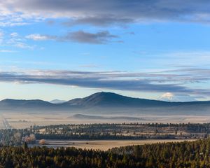 Preview wallpaper mountains, forest, trees, fields, landscape