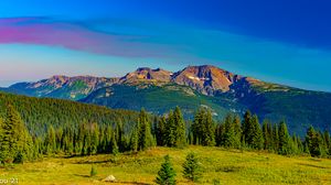 Preview wallpaper mountains, forest, trees, grass, landscape
