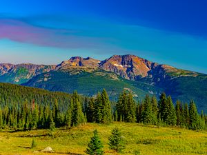 Preview wallpaper mountains, forest, trees, grass, landscape