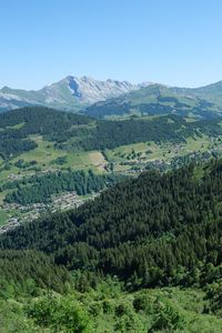 Preview wallpaper mountains, forest, trees, landscape, valley