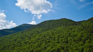 Preview wallpaper mountains, forest, trees, landscape, green