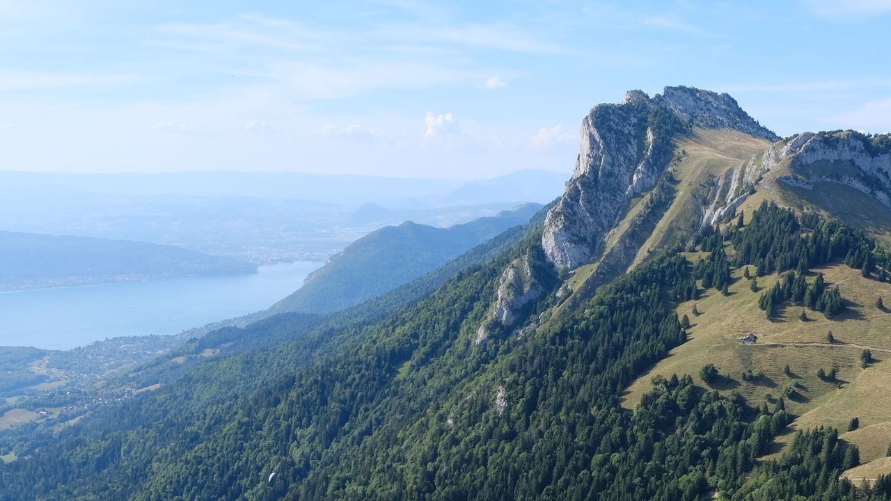 Wallpaper mountains, forest, trees, slope, grass