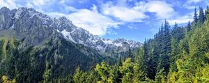Preview wallpaper mountains, forest, trees, snow, nature, sky