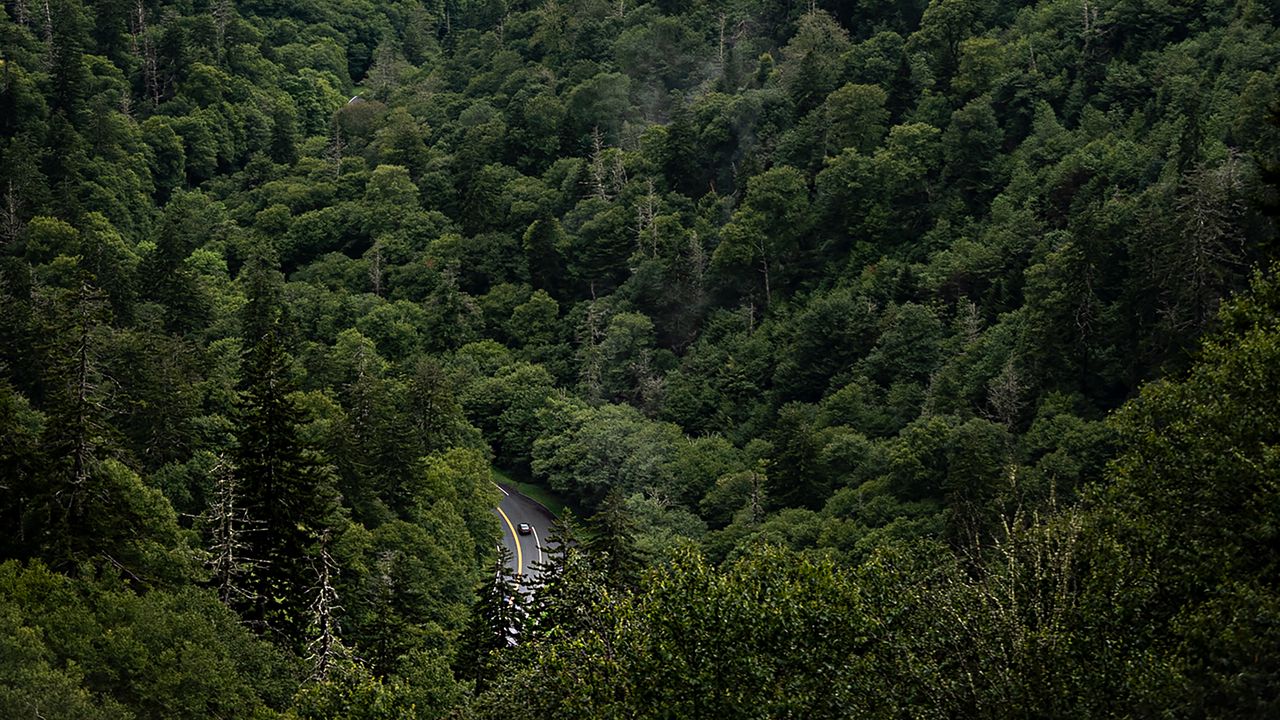 Wallpaper mountains, forest, valley, road