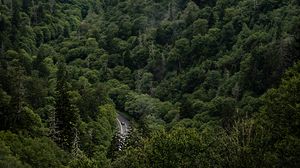 Preview wallpaper mountains, forest, valley, road