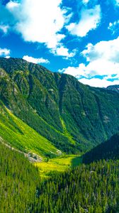 Preview wallpaper mountains, forest, valley, greenery, landscape