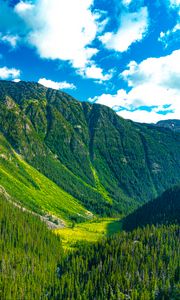 Preview wallpaper mountains, forest, valley, greenery, landscape