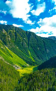 Preview wallpaper mountains, forest, valley, greenery, landscape