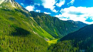 Preview wallpaper mountains, forest, valley, greenery, landscape