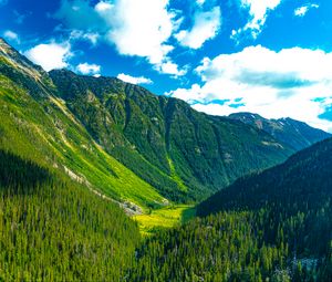 Preview wallpaper mountains, forest, valley, greenery, landscape