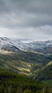 Preview wallpaper mountains, forest, valley, landscape, view, nature