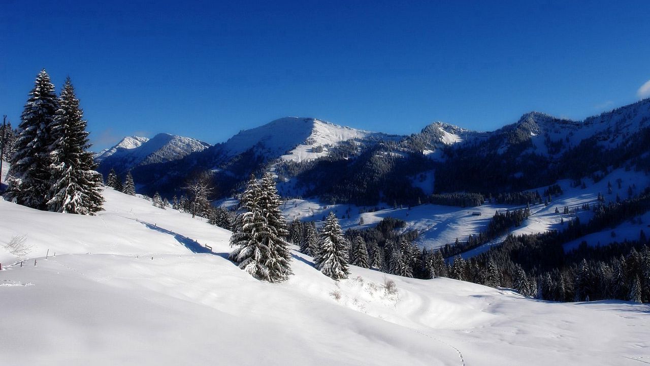 Wallpaper mountains, fur-trees, sky, winter, descent