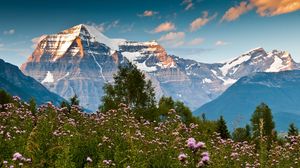 Preview wallpaper mountains, glade, flowers, prickles, tops, snow-covered, sky, purity