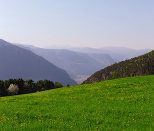 Preview wallpaper mountains, glade, grass, fog