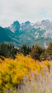 Preview wallpaper mountains, grass, blur, flowers, bariloche, argentina