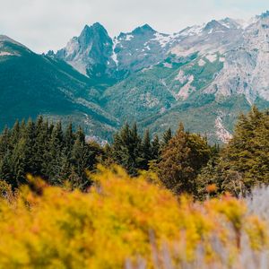 Preview wallpaper mountains, grass, blur, flowers, bariloche, argentina