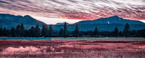 Preview wallpaper mountains, grass, fence, trees, sky, evening